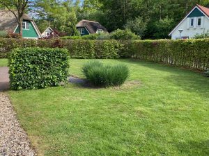 Tuin zijkant